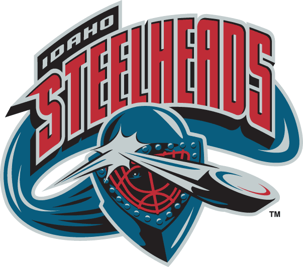 idaho steelheads 2003-2006 primary logo iron on transfers for clothing